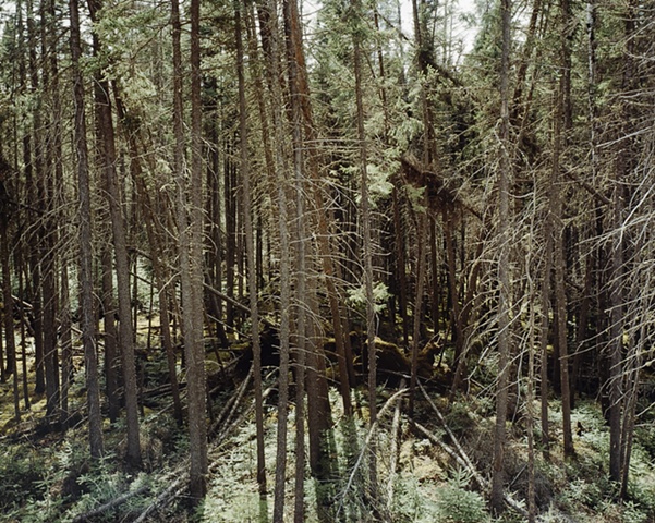 Sawbill Trail 2001