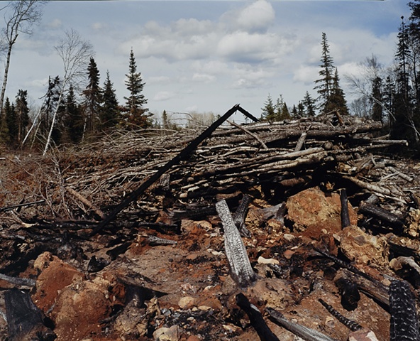 Blowdown Debris, Near Aspen Lake, Gunflint Trail, Superior National Forest 2001