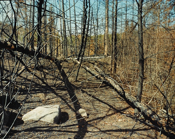 Prescribed Burn, Blowdown Area, Gunflint Trail Superior National Forest 2004
