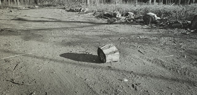 North of Fish Lake, Minnesota 2025