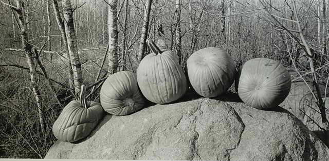Pumpkins, Chisholm, Minnesota 2025