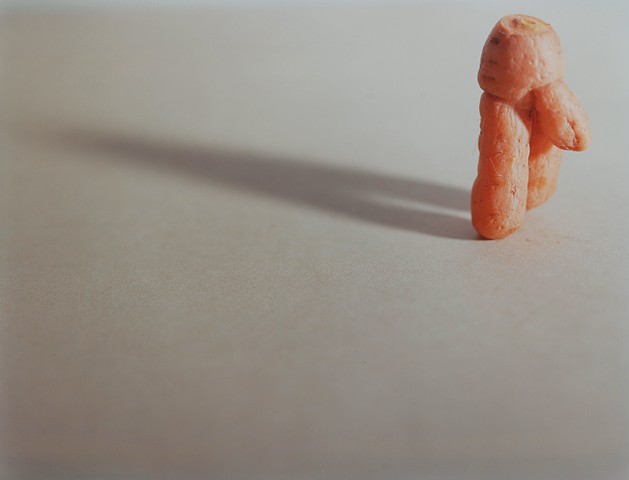 Vegetable Metaphor 2024