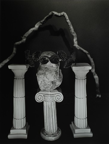 Still Life for Washington # 1 2025
