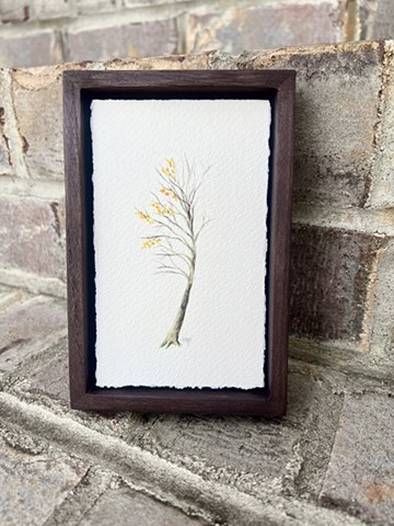 Fall Leaves