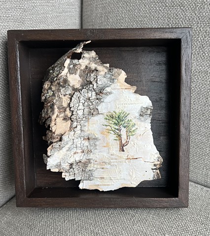 Small Trees