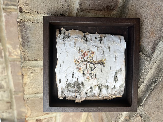 Birch Bark VII
