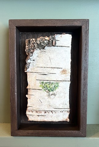 Birch Bark Cropped