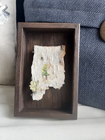 Birch Bark Right Side Trimming