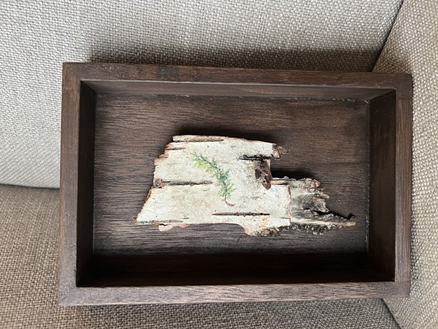 Birch Bark Leaning