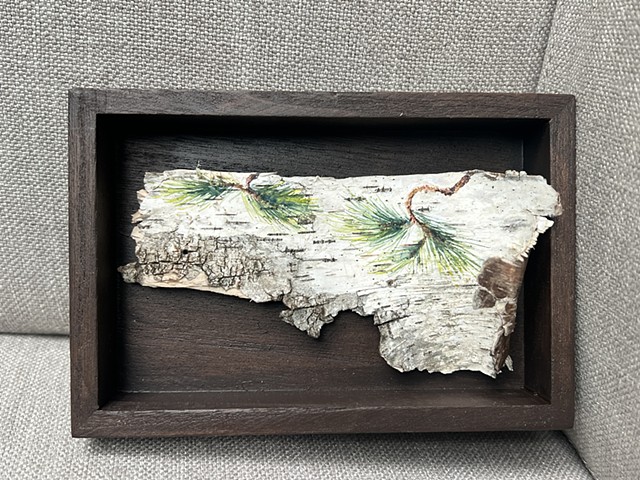 Birch Bark Branches