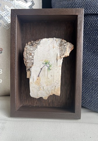 Birch Bark Almost There