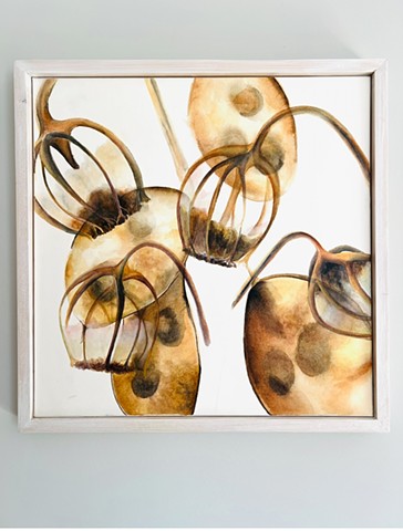 Paintings