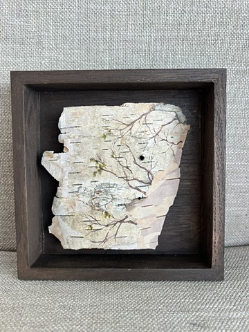 Birch Bark Branches