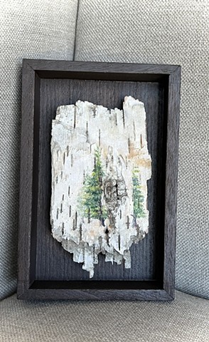 Birch Bark 3 Arborvitae