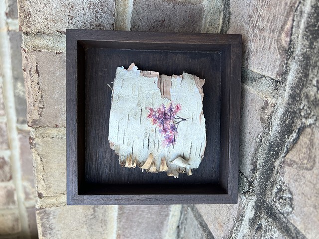 Birch Bark Cherry Blossoms-SOLD