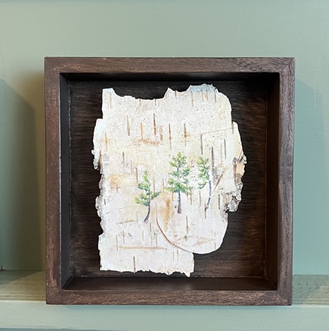 Birch Bark Three Pines