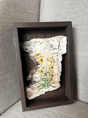 Birch Bark Swamp Sunflowers