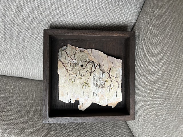 Birch Bark Branches
