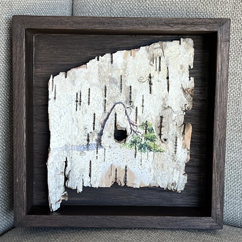 Birch Bark Tipped Over