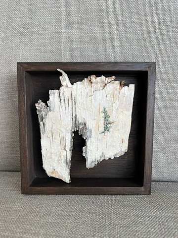 Birch Bark Left Cutout