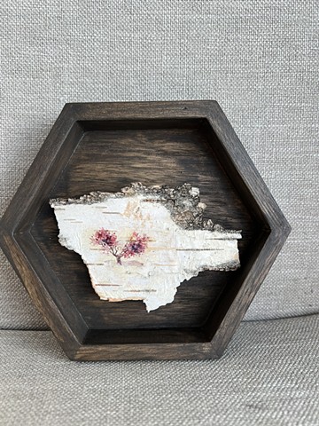 Birch Bark Cherry Blossoms II