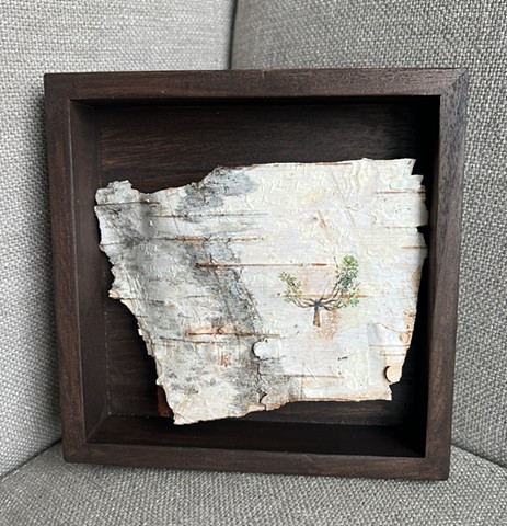 Birch Bark Directional Pruning