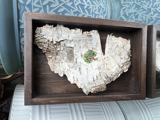 Birch Bark Holly