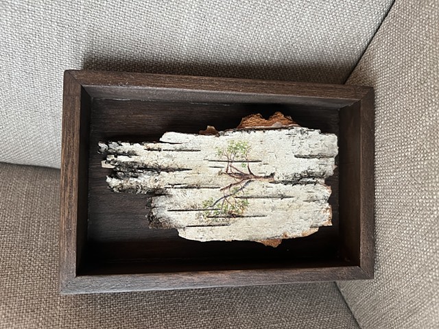 Birch Bark Directional Pruning 1