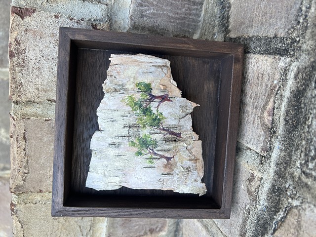 Birch Bark Triplets 