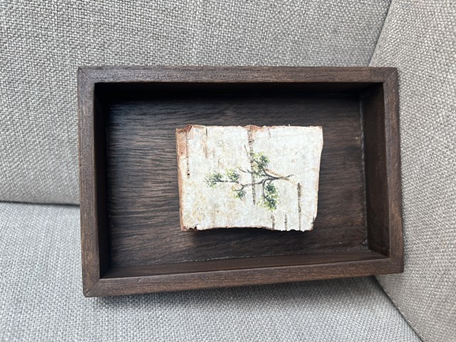 Birch Bark Sparse 