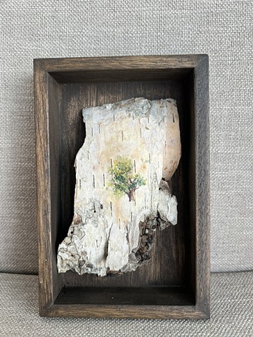 Birch Bark Almost Complete