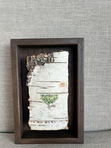 Birch Bark Cropped