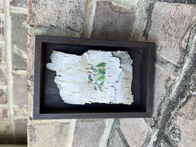 Birch Bark Wildflowers 