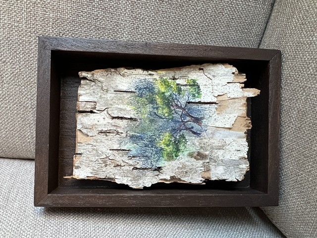 Birch Bark Tree Dance