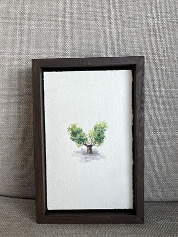 Birch Bark Directional Pruning