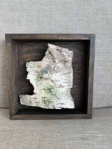 Birch Bark Pines V