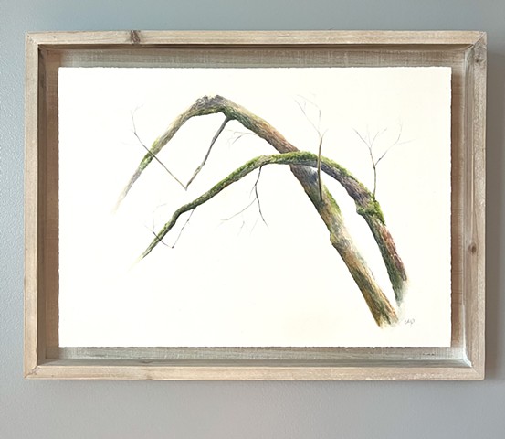 Paintings
