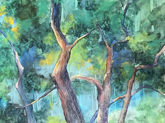 Trees