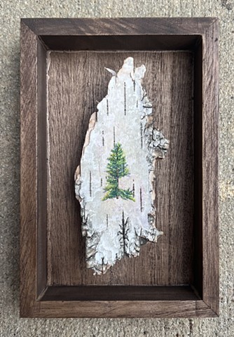 Birch bark Directional Pruning I