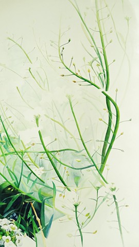 Weeds Detail