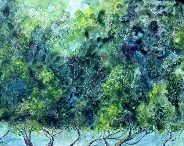Tree Canopy