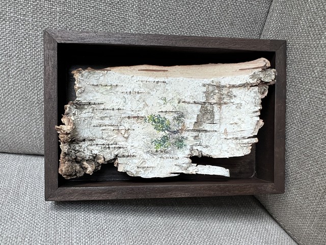 Birch Bark Tree V