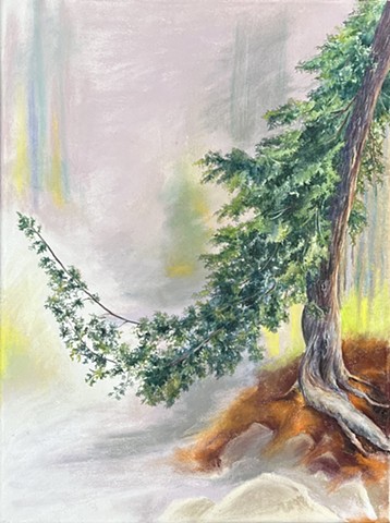 Reaching