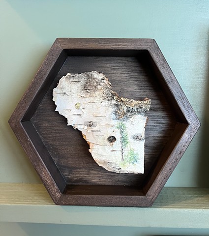 Birch Bark Pine II