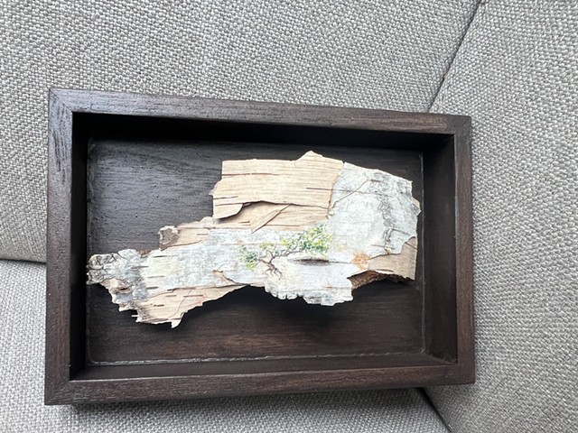Birch Bark River’s Edge