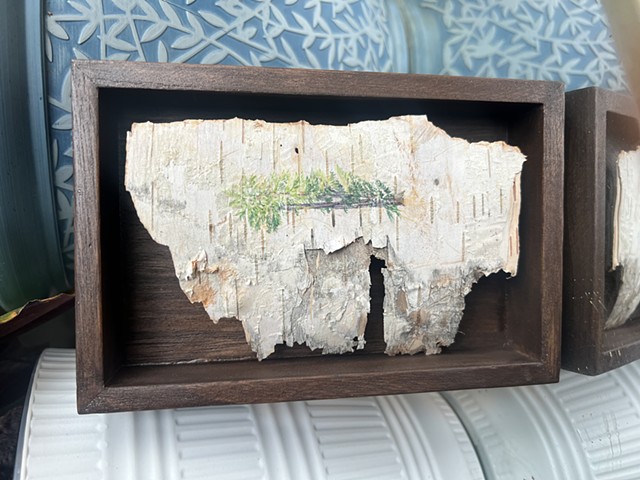 Birch Bark On the Right