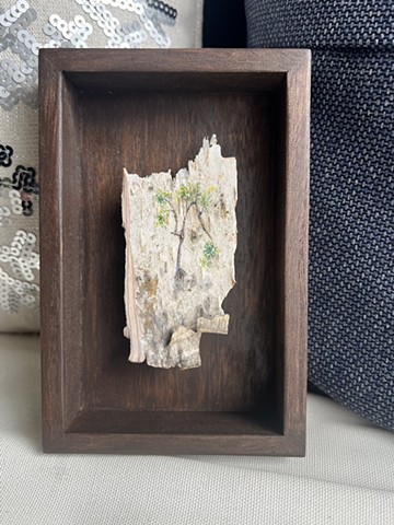 Birch Bark Wrong Way!