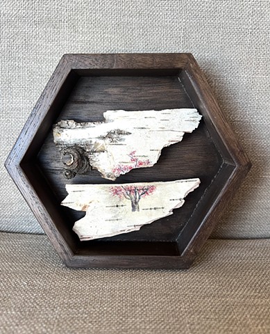 Birch Bark Split Cherry Blossom