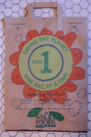 Earth Day Paper Bags