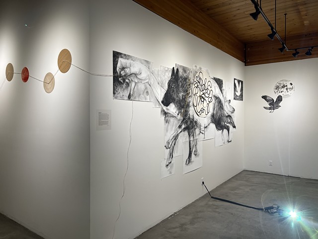 Where Wolf Whychus Creek 